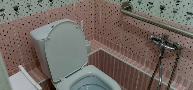 Meeting Diverse Needs With Accessible Restroom Solutions in West Little River, FL